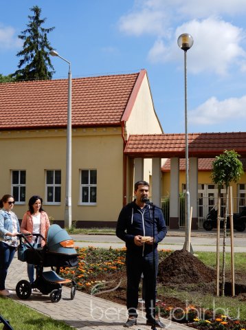 Életfát ültettünk 12